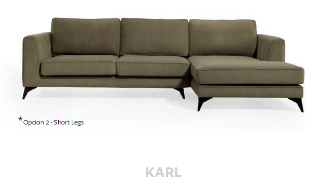KARL (2)