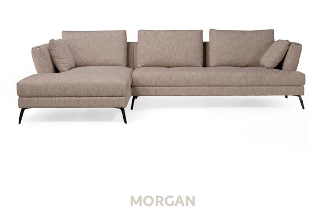 MORGAN (2)
