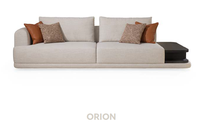 ORION (2)